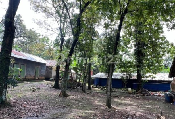 Tanah di Jl. Buntu Malang Desa Cicadas Kec. Ciampea Kab. Bogor