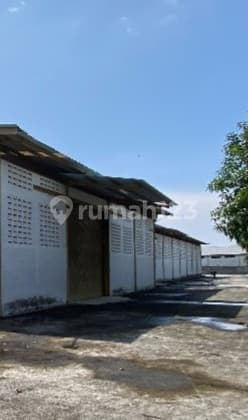 Warehouse Spacious on Pramuka St. Karang Tengah Sub-district, Cianjur District.