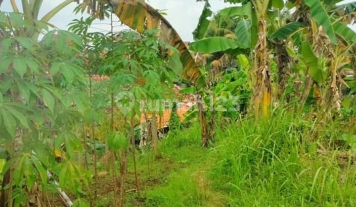 Tanah Komersil Di Jl. Soleh Iskandar Bogor Kota