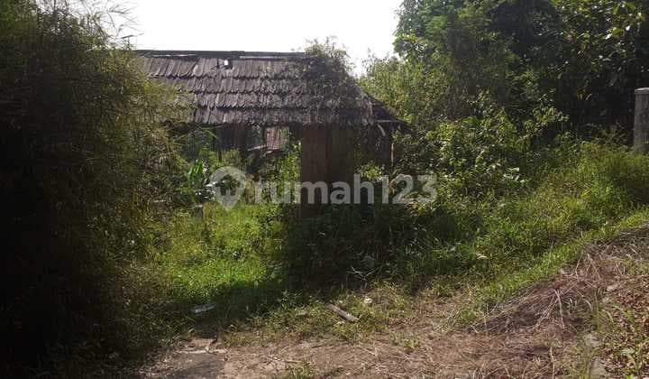 Land Ex Villa in Ciconggang Village, Cijeruk Bogor