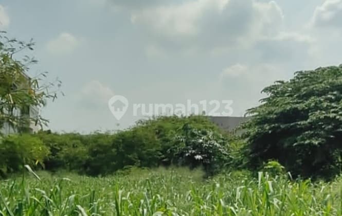 Tanah Murah Lokasi Strategis di Jl. Raya Margonda Depok