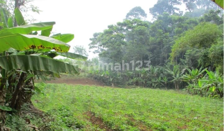 Tanah Bagus Lokasi di Bojong Kerta Pesantren Kec. Bogor Selatan