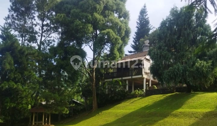 Villa Hook Ciburial Kedaton Desa Tugu Utara Cisarua Bogor