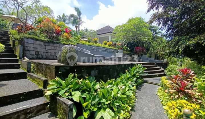 Vila Modern View Hutan, Sungai Yeh Poh Desa Nyambu Kediri Tabanan
