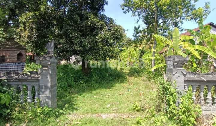 Jual Cepat Tanah Lokasi Strategis Hanya 30 Meter Dari Jalan Utama Gerokgak Singaraja
