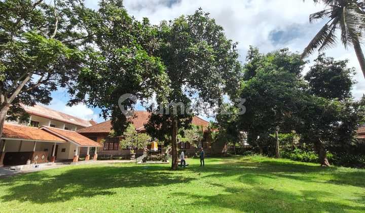 Rumah Lantai 1 Halaman Luas di Kemenuh, Dekat ke Central Ubud