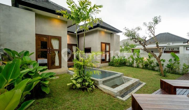 10 Years Rental, Beautiful Villa With River & Jungle View In Saba, Gianyar