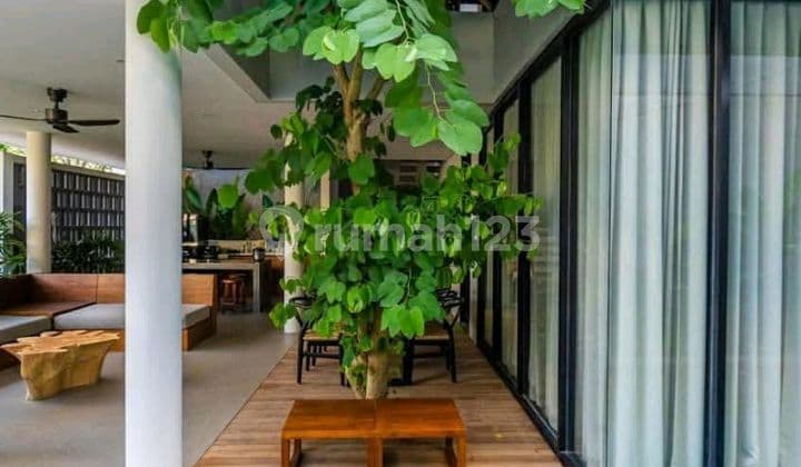 3 Bedrooms Villa In Strategic Location, At Jalan Bidadari, Seminyak