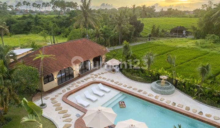 5 Bedrooms Freehold Villa With Amazing Ricefield View In Kedungu, Tabanan