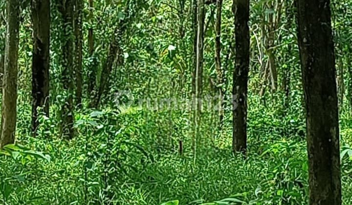 Kavling Murah Siap Bangun di Tipar Raya Jambe
