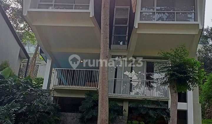 Dijual di Bawah Harga Pasaran Rumah Luas Asri Sejuk Dijual Murah di Terusan Gegerkalong Setiabudi Bandung Utara
