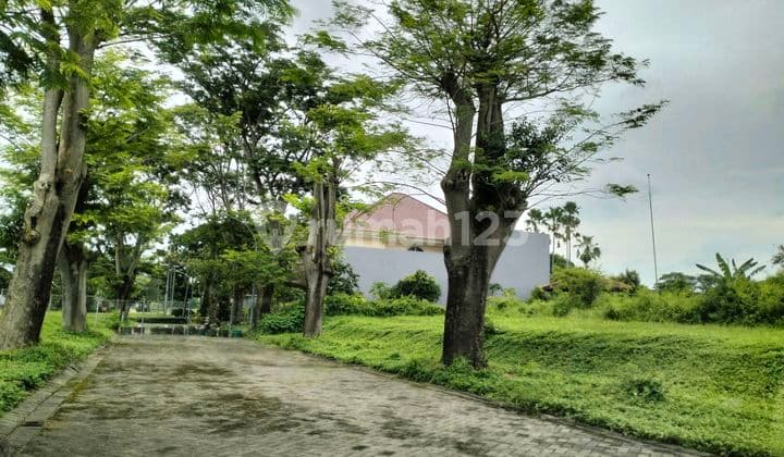 Dijual Tanah Citraland Teluk Golf Puncak Golf Selat Golf Dekat Universitas Ciputra