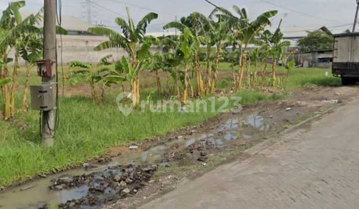 Murah Tanah Kepatihan Benowo Driyorejo