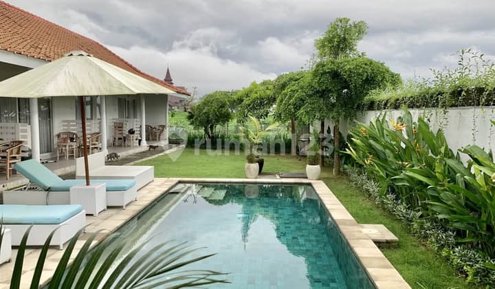Di Jual Villa Guesthouse Tibubeneng Canggu