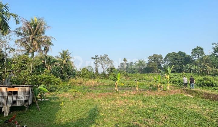 Jual Cepat Murah Tanah Luas Lokasi Parung, Bogor