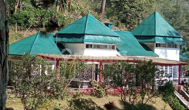 For Sale Ciloto Villa Puncak, 2 houses, 1.7 Ha land area, 1500 meters above sea level.