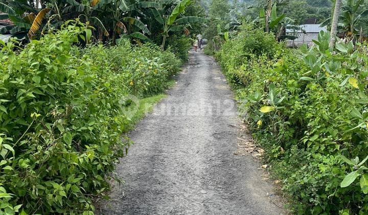 Tanah di selong belanak dekat Kuta Mandalika