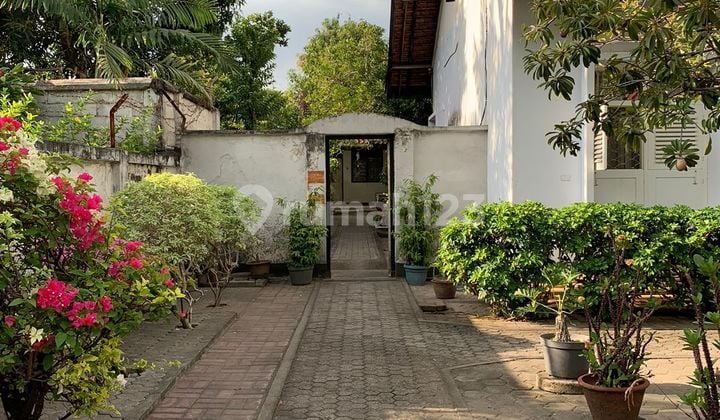 Rumah Dan Kos kosan di Jl. Pendidikan Kota Mataram