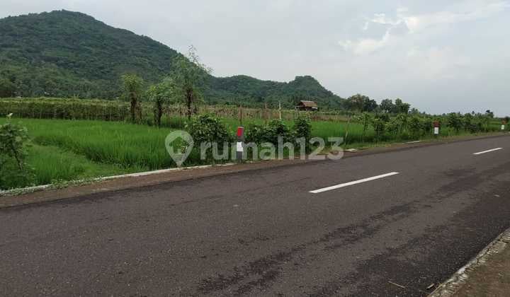 Tanah Sawah Produktif di Pinggir Jalan Aspal Kuripan Lombok Barat