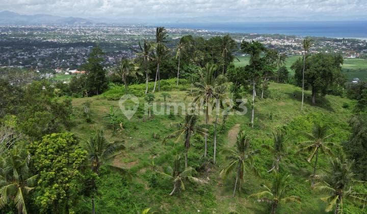Tanah Kapling Senteluk Hill Bukit Bengkaung Batu Layar Lombok
