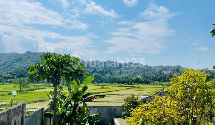 Land with Rice Field View in Gunung Sari Suitable for Villa