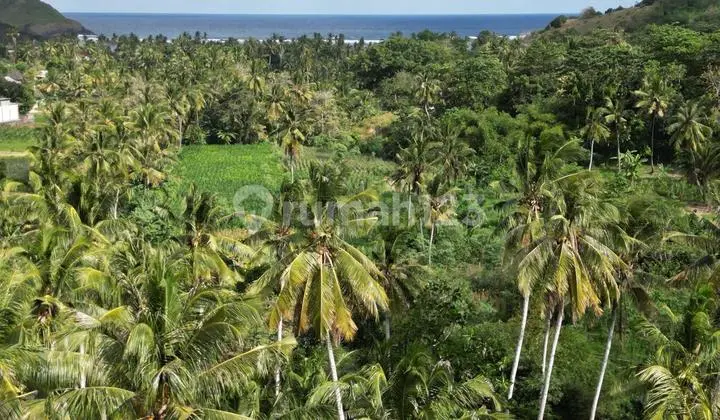 Tanah Kapling Flat dan View Laut Prabu Areguling Dekat Kuta