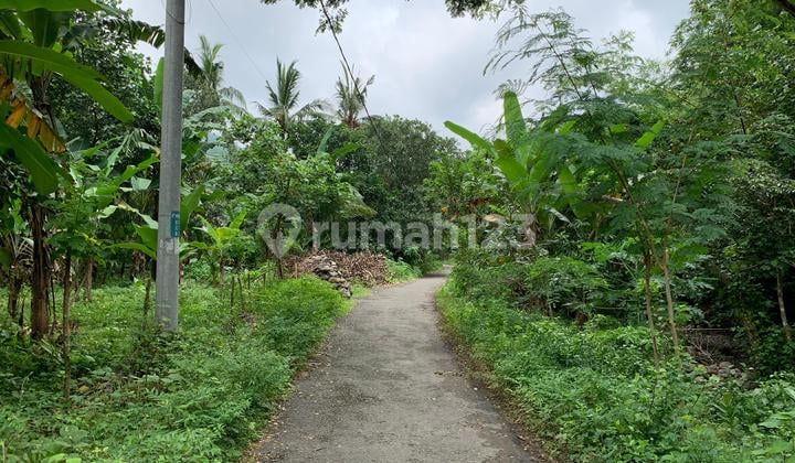 Tanah Malimbu dekat Resort Louis Kienne cocok untuk kebun