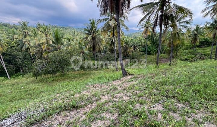 Garden Land in Sokong, North Lombok