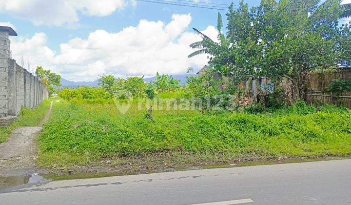 Tanah Sawah Kebun di Nyiur Lembang Narmada Lombok Barat