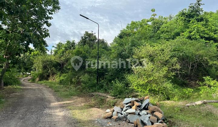 Tanah di selong belanak dekat Kuta Mandalika