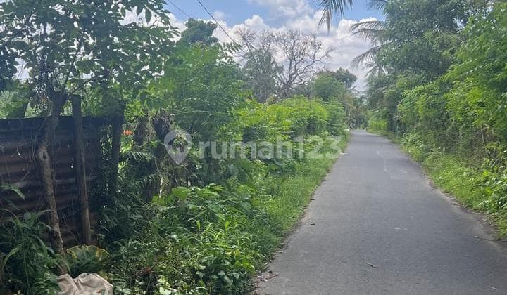 Dijual kolam ikan di narmada Nyiurlembang Lombok Barat