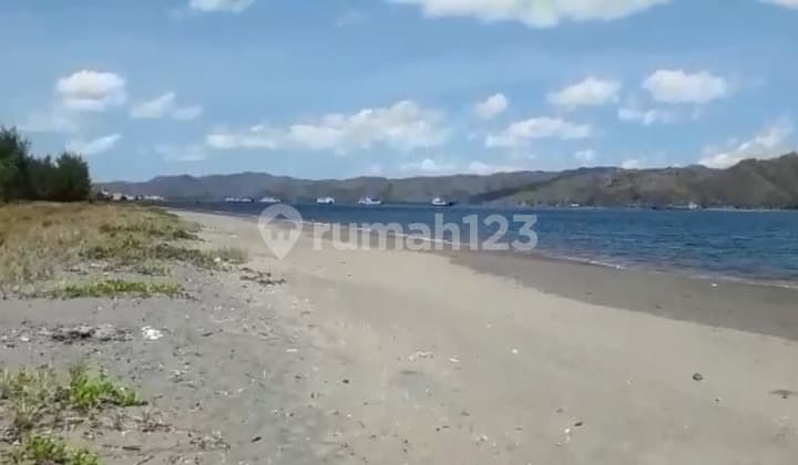 Tanah Pinggir Pantai Cemare Lombok Barat