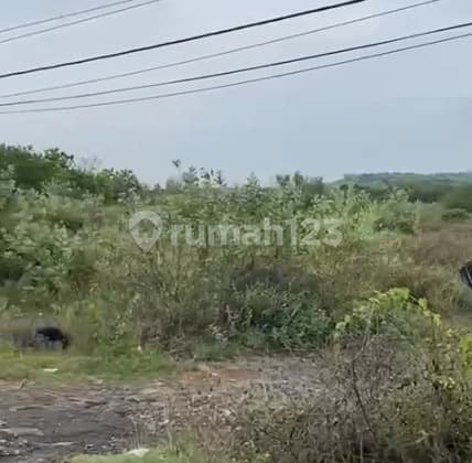 Kavling Jalan Nasional 1 Kab Rembang Jawa Tengah Lokasi Strategis