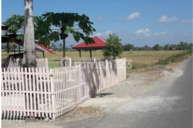 Tanah Lokasi Strategis Di Gorontalo Sulawesi Bisa Nego