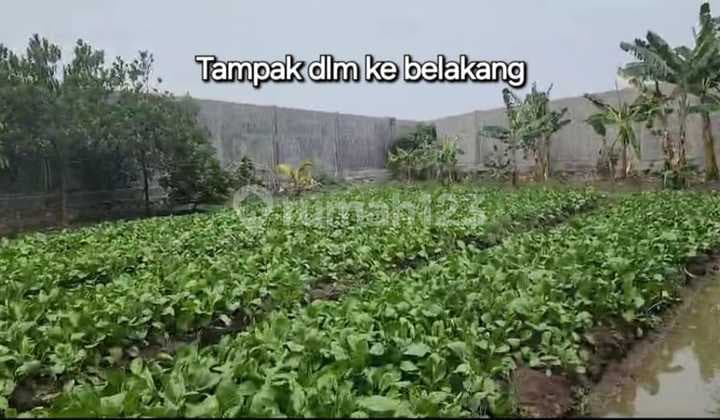 Tanah di Babakan Asem. Jl Suka Karya. Teluknaga. Cocok untuk Gudang.. Luas Tanah 1.018M2.shm. Siap Bangun. Sudah di Pagar dan Pintu Besi..Sangat Strategis..3.5Juta/Mtr Nego