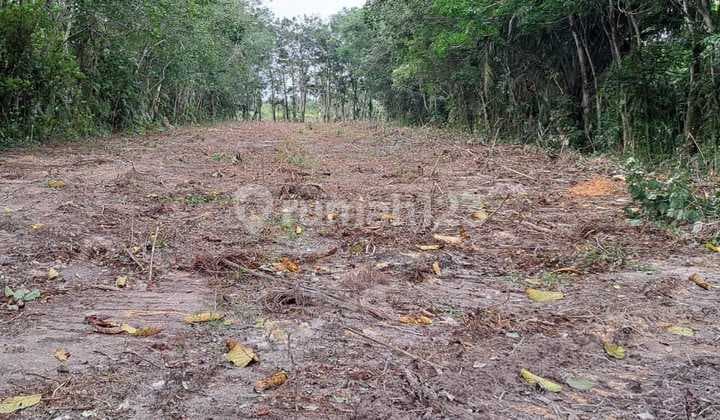 Dijual Tanah Lokasi Strategis Dekat Dari Jalan Siak 2