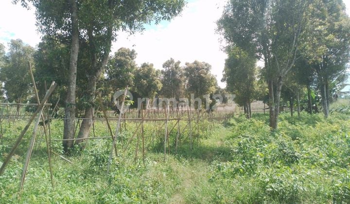 Tanah pinggir jalan 53 hektar, Goalpara, Sukabumi,Jawa Barat.