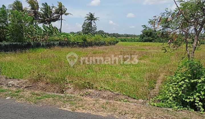 Dijual Tanah Dekat Pantai dan Soori Bali