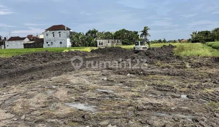 Tanah Kavling View Sawah Dekat Pantai Tanah Lot