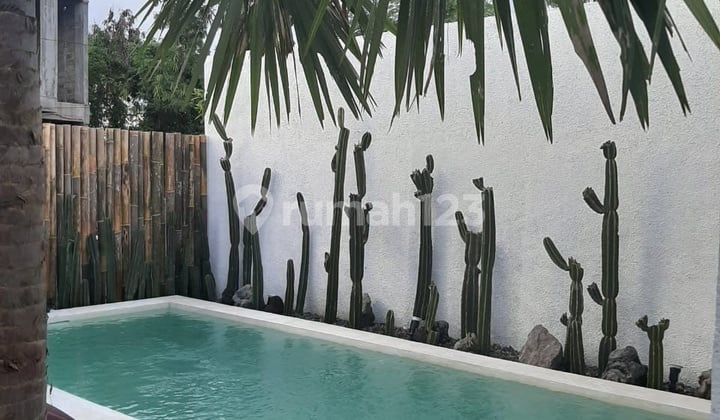 Guesthouse Bertema Santorini di Pusat Turis Canggu