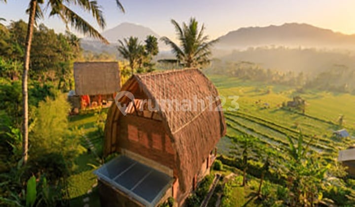 Private Villa Furnished dengan View Padi Dan Gunung Agung