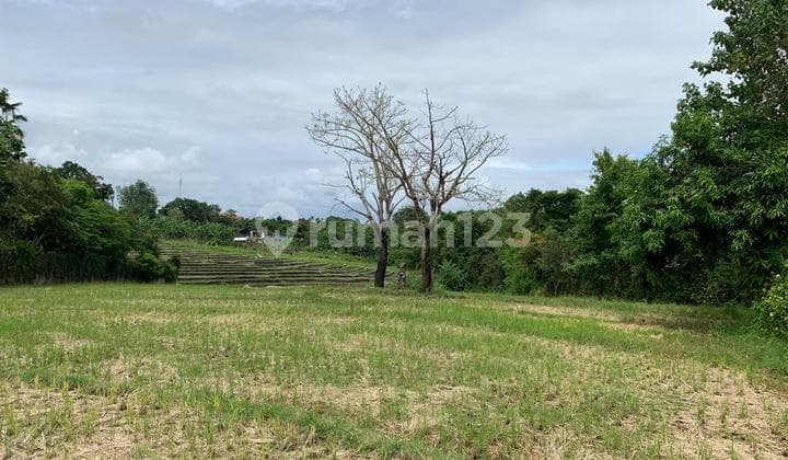 DIJUAL TANAH VIEW SAWAH LOKASI PERERENAN