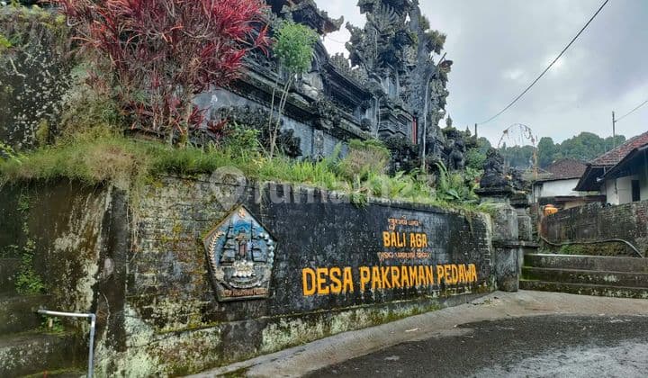 Tanah Kebun Durian Manggis Di Desa Pedawa Singaraja