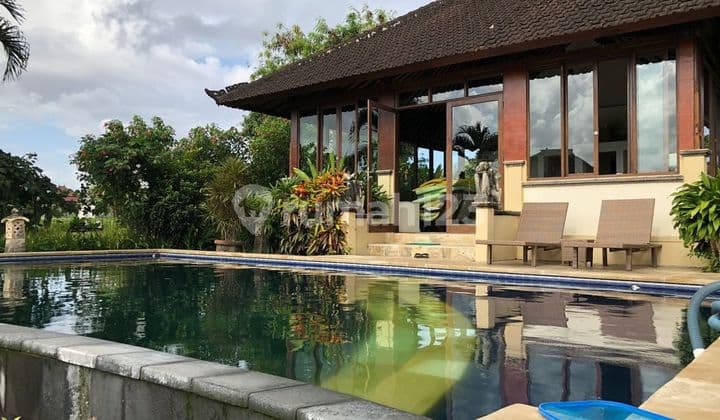Spacious Freehold Villa With Rice Paddies View For Sale In Berawa