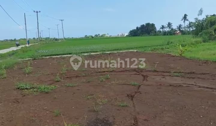 Dijual Tanah Dekat Pantai Kedungu Tabanan