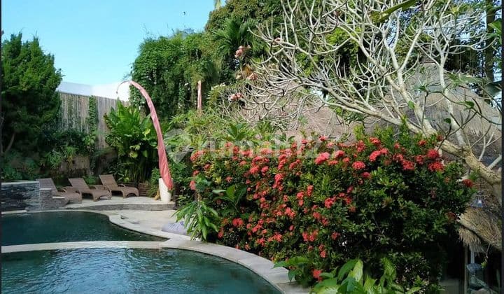 Dijual Villa Besar Murah View Sawah Cocok Untuk Investasi