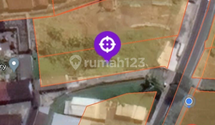 Land for sale with rice field view on Main Street Blangsinga Gianyar