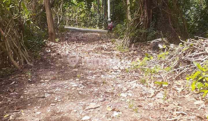 Dijual Tanah di Kawasan Taman Griya Jimbaran