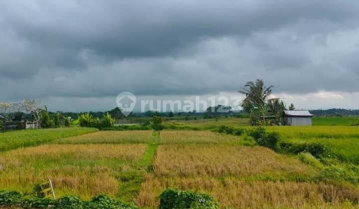 Tanah Zona Perdagangan Jalan Raya Mengwi