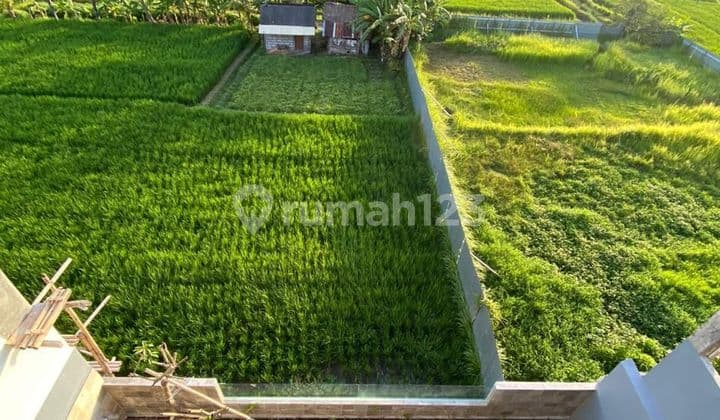 For Sale Brand New Villa With Rice Field View Tabanan